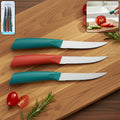 Multipurpose Stainless Steel Fruit Knife Set Of 3