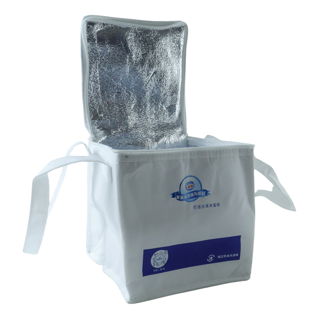 Insulated Thermal Lunch Bag (1 Pc 23x20 Cm)